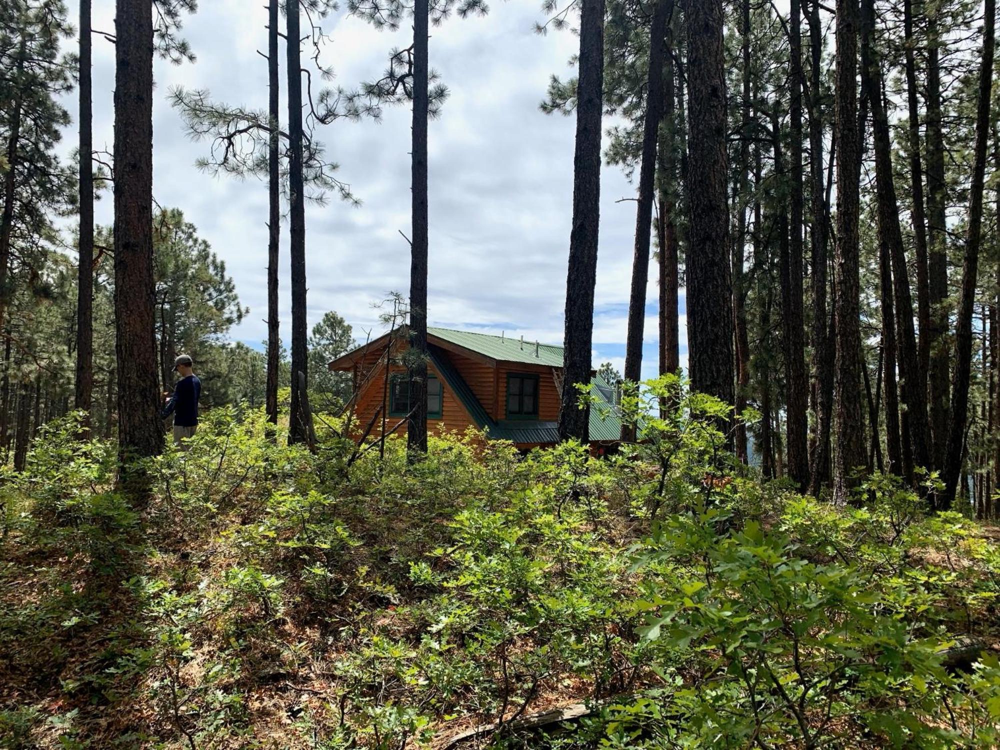 Bear Paw Lodge & Vacation Homes Vallecito Экстерьер фото